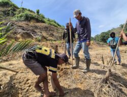 Koperasi Pusaka Belumpur Tanam Padi Gogo di Pematang Durian