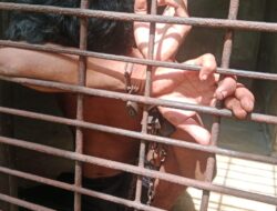 Aniaya Ibu Kandung, ODGJ Dipasung Dengan Rantai Dalam Rumah
