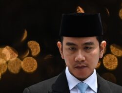 Kesempatan Gibran Buktikan Kemampuan Dengan Adanya Tugas Khusus Urus Papua