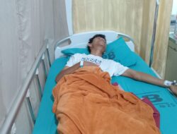 Monyet Liar Kembali Mangsa Warga Brandan