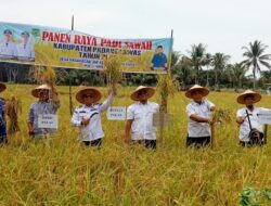 Putra Mahkota Minta 721 Hektar Lahan Persawahan Di Barumun Baru Bisa Ditanami