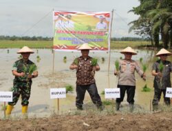 Armia Pahmi:  Penanaman Padi Dan Jagung Upaya Jaga Stabilitas Harga Pangan
