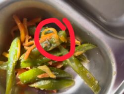 Diduga Basi Dan Berulat, Makan Bergizi Gratis Di Aceh Tamiang Tidak Dimakan Siswa