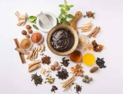 Konsulat Jenderal India Di Medan Akan Gelar Hari Ayurveda 2025