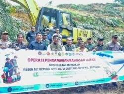 Ismail: Hutan Leuser Harus Dibenahi Kembali