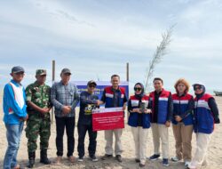 PGN Peduli Lingkungan Tanam 400 Pohon Cemara Di Pantai Aceh Utara