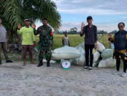 Bulog Siap Beli Gabah Petani Di Asahan, Tanjungbalai Dan Batubara