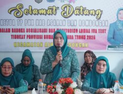 Ketua TP PKK Asahan Monitoring Lomba IVA Test Tingkat Sumut