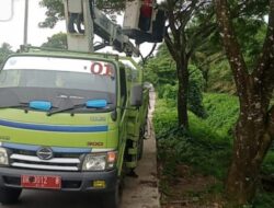 Musim Hujan Pemkab Batubara Pangkas Pohon