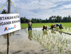 Inalum Dukung Pertanian Berkelanjutan
