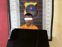 Curi TV Puskesmas, AFBB Diringkus Polres Batubara