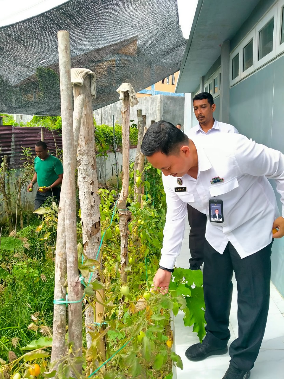 Kepala Bapas Lhokseumawe, Ahmad Fausan Apriyansyah meninjau dengan program ketahanan pangan melaksanakan agrobisnis pertanian menanam terong, cabai dan tomat di lahan Peuntet Kantor Bapas Klas II Lhokseumawe, Kamis (30/10). ist