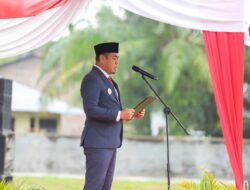 Wabub Batubara Pimpin Upacara Hari Pahlawan