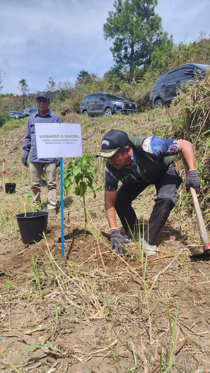 Teks fhoto INALUM tanam 600 Pohon diareal seluas 500 Hektar di Daerah Tangkapan Air (DTA) Danau Toba Senin (10/11-2025).beritasore/alirsyah