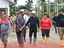 Bupati Dan Ketua DPRD Nias Panen Jagung Hibrida 