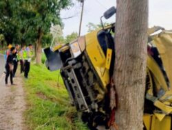 Truk Colt Diesel Muatan Kayu Tabrak Pohon Di Batubara, 1 Orang Meninggal 
