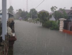 Kota Pangkalanbrandan Dikepung Banjir 