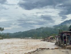 Ketambe Banjir, Jalan Darurat Kute Leuser Kembali Terputus