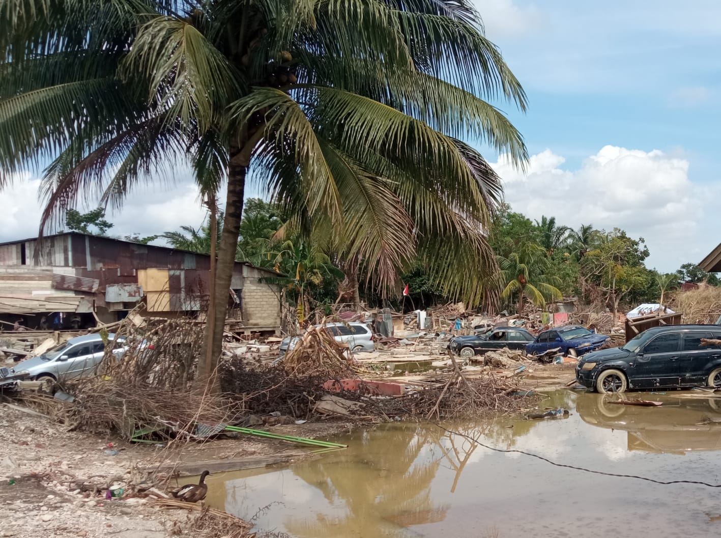 Rumah-rumah warga dan mobil hanyut di Kampung Dalam,Kecamatan Karang Baru, Kabupaten Aceh Tamiang pada peristiwa banjir Aceh Tamiang 2025,Selasa (16/12). Foto: Muhammad Hanafiah