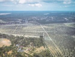 Banjir Sumatera Dampak Akumulasi Tata Kelola Lingkungan