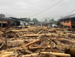 83 Rumah di Pedalaman Aceh Timur Hilang Terseret Banjir