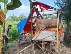 Polsek Sunggal Gerebek Sarang Narkoba Di Desa Sei Semayang