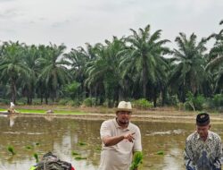 Masyarakat Berharap Kehadiran Mentan Di Aceh Bisa Berikan Dampak Nyata Bagi Petani
