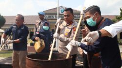 Wakapolres Sergai Musnahkan 13,8 Kg Ganja