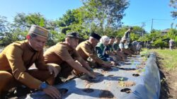  Wabup Hamzah Sulaiman didampingi Kadis Tanaman Pangan, Kades Pulo Sarok dan para penyuluh, melakukan penanaman cabai merah di lahan pertanian Koptan Agro Berkah, Senin (13/1/2026). Foto: Aris.