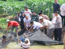 Tapsel Terbaik Se Indonesia Dengan Andalan Gerakan 1.000 Kolam 