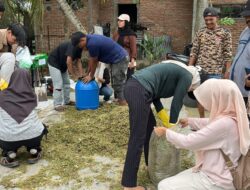 Tim Himabio Universitas Samudra Terapkan Smart Integrated Farming System di Meurandeh