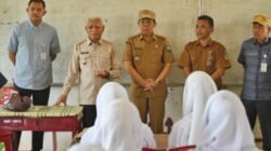 Teks foto: Wakil Gubernur Sumatera Utara (Sumut) Surya meninjau Sekolah Menengah Kejuruan Negeri (SMKN) 1 Portibi, Padanglawas Utara (Paluta), Selasa (3/3/2026).