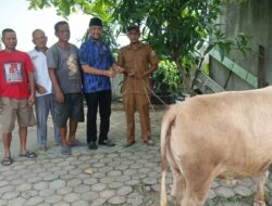 Sambut  Idul Fitri, Ketua DPD Kombat Deliserdang Serahkan Bantuan Satu Ekor Lembu