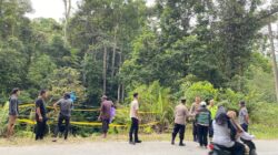 Apkasindo Desak Pemerintah Perluas Jalan Nasional Subulussalam-Pakpak Bharat