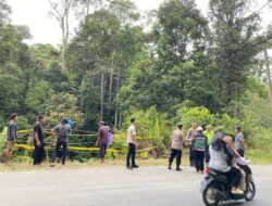 Apkasindo Desak Pemerintah Perluas Jalan Nasional Subulussalam-Pakpak Bharat