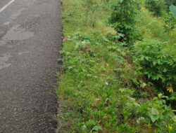 Waksekda DPD LIRA Nias Desak Penanganan Darurat Longsor